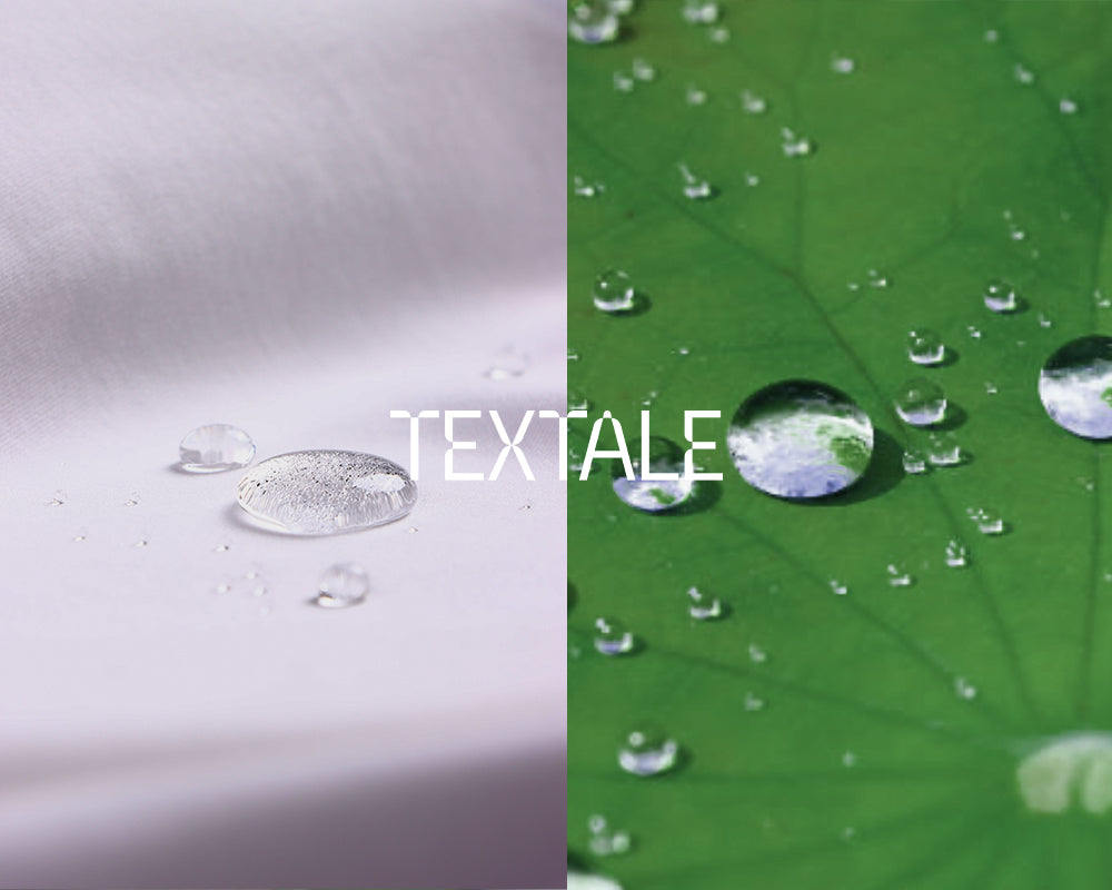 The lotus leaf: how nature makes water-repellent materials.